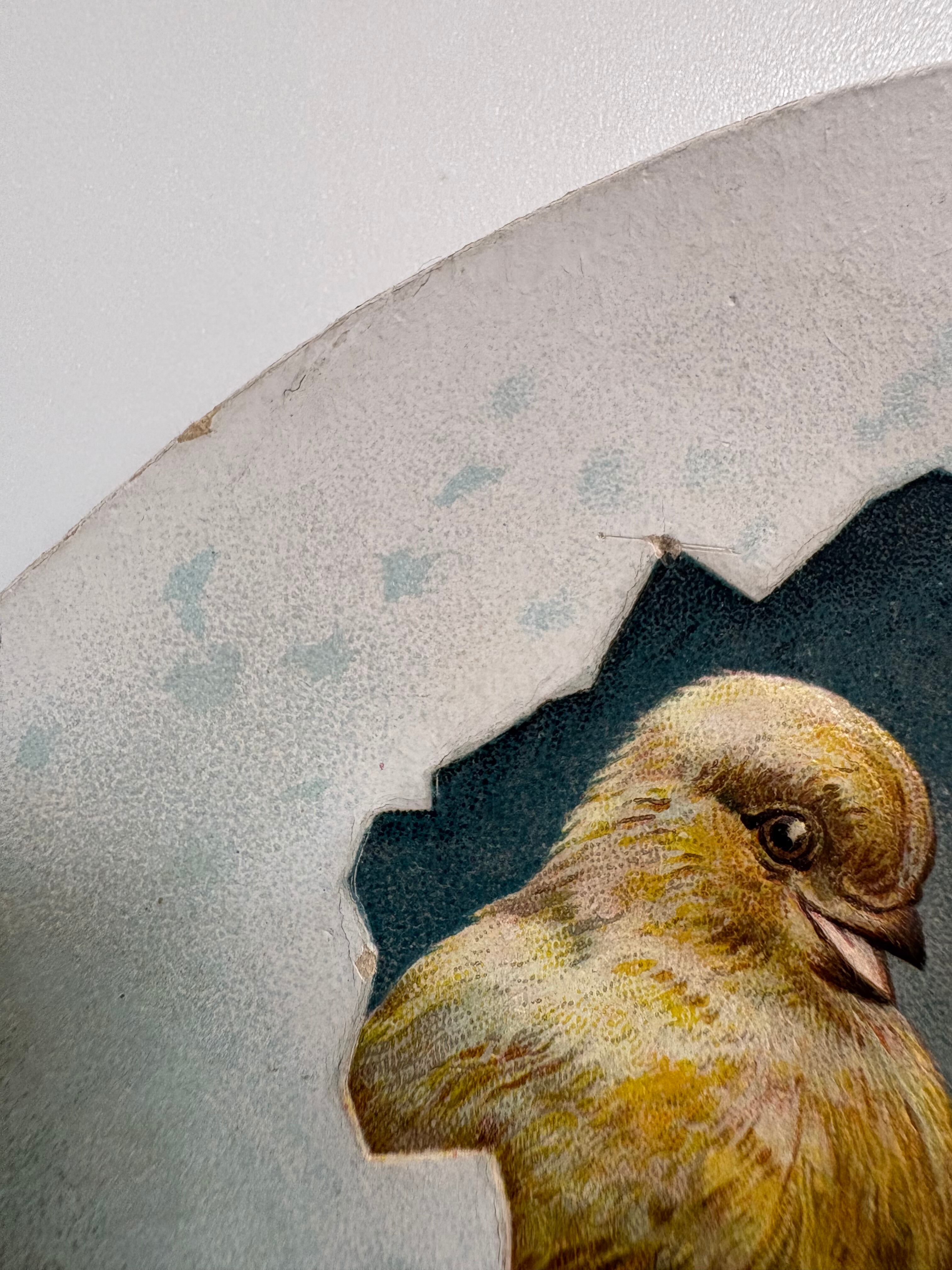 ひな鳥たちのカード（卵から生まれた小鳥たち）｜フランスアンティーク