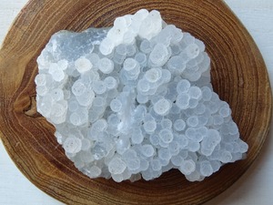 フォレストカルセドニー ~Chalcedonyの森~