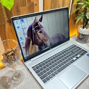 極美品2023年式 HP ProBook 450 G10/Core i5 第13世代/メモリ8GB/SSD256GB/最新ノートパソコン