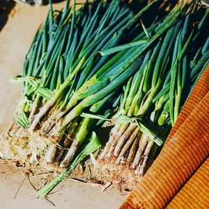 ねぎ好き必見！《5kg》葱華屋の泥付き"深谷葱"