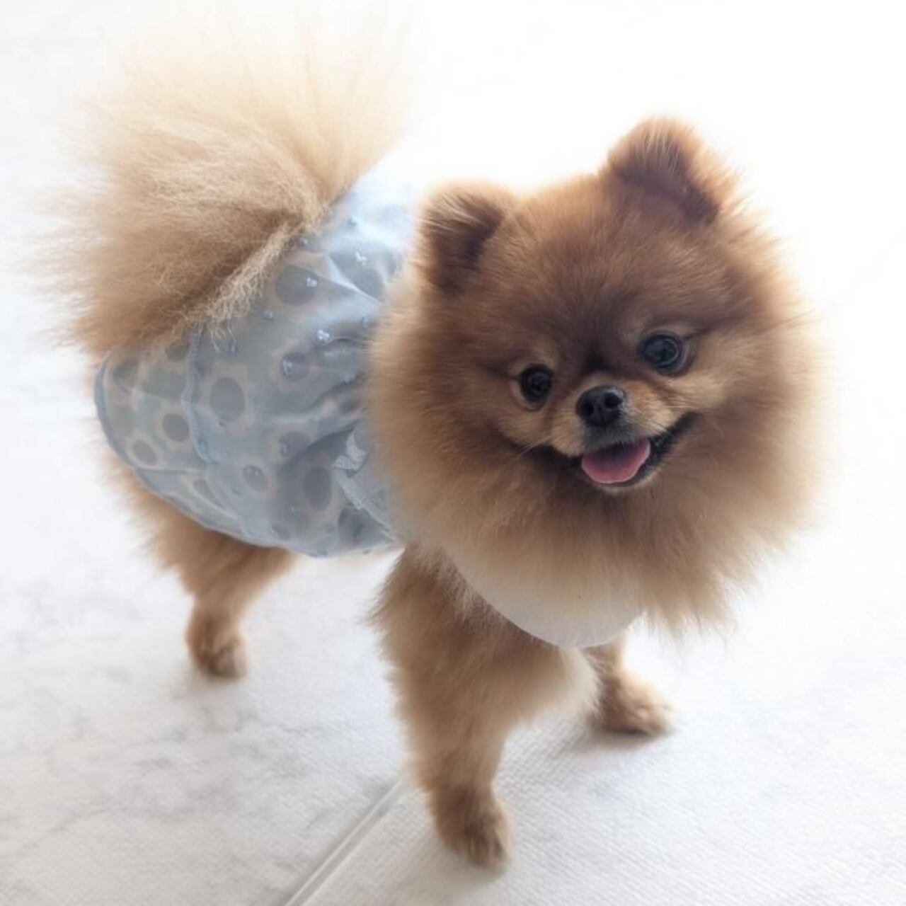 パステルティアードワンピース♡0169