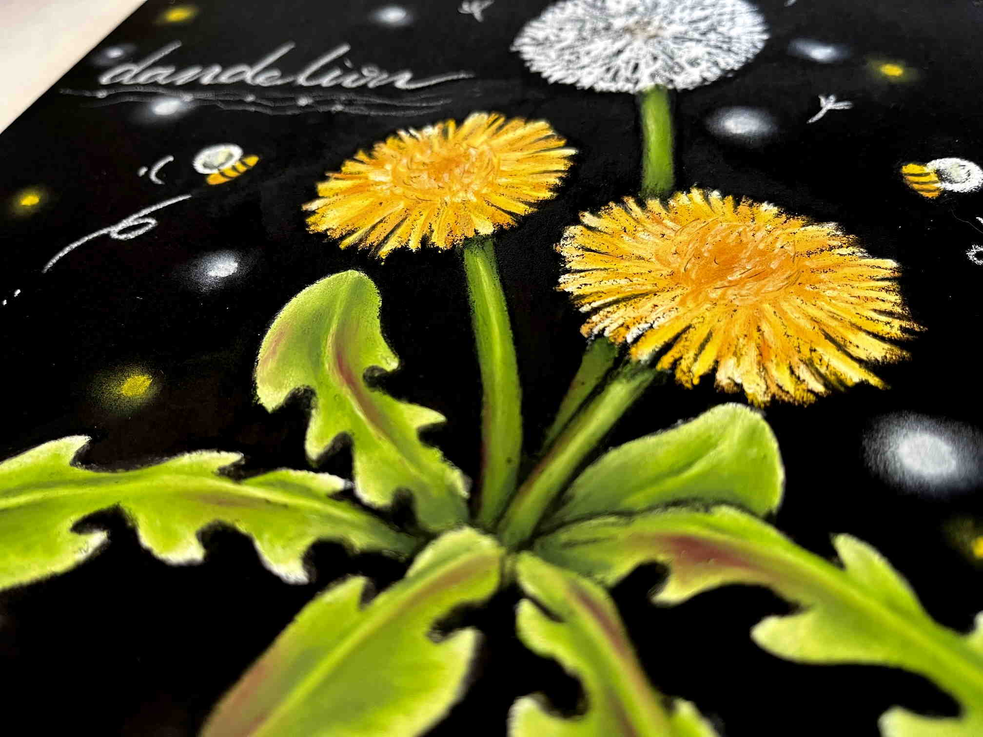 d76ca59bae8f2d1e9ab2e2d802c3a1