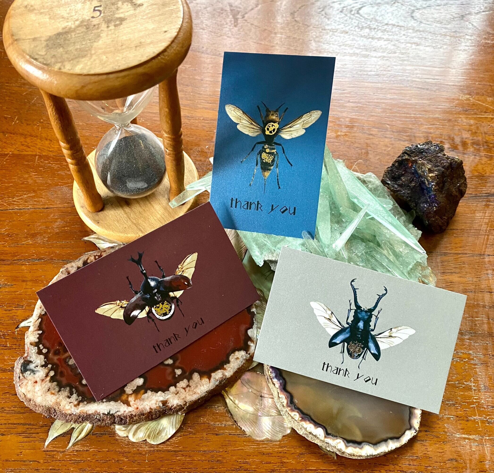 機械仕立ての昆虫標本_WebShop販売Vol.1_中～大サイズ | うつせみ標本屋