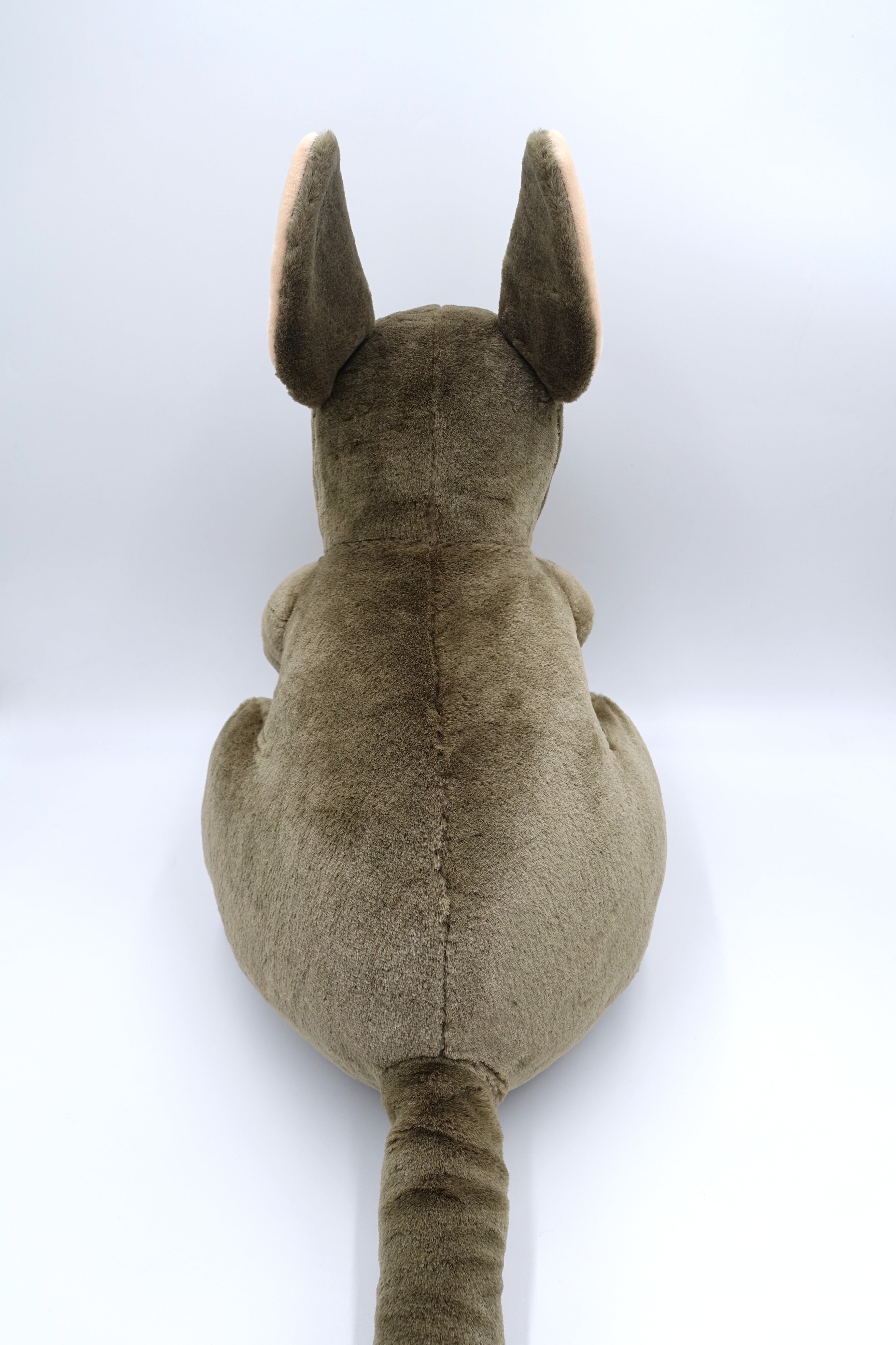 パルマワラビー（XLサイズ）