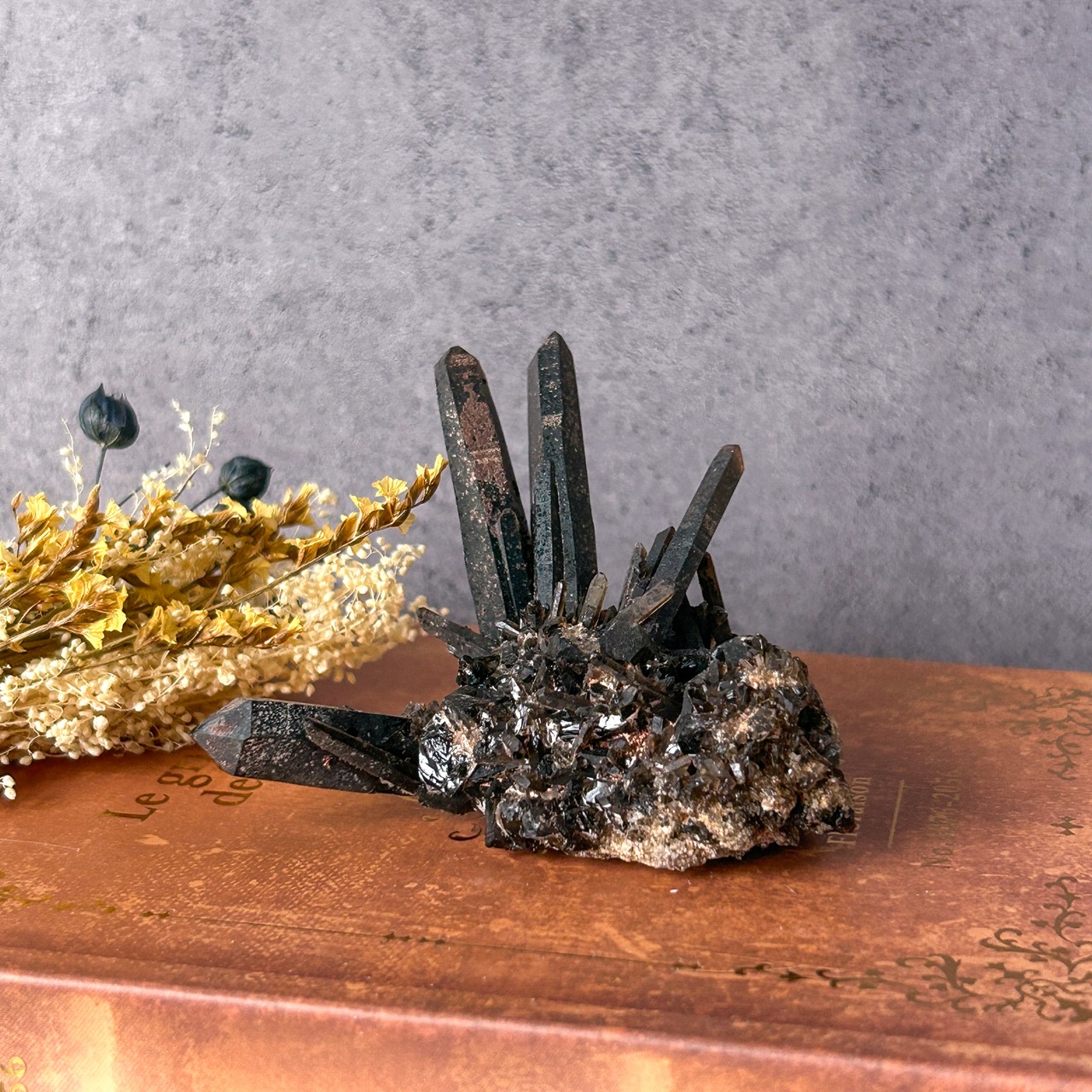 【期間限定】ハッピーバッグ〜クールセット〜(3万円相当)