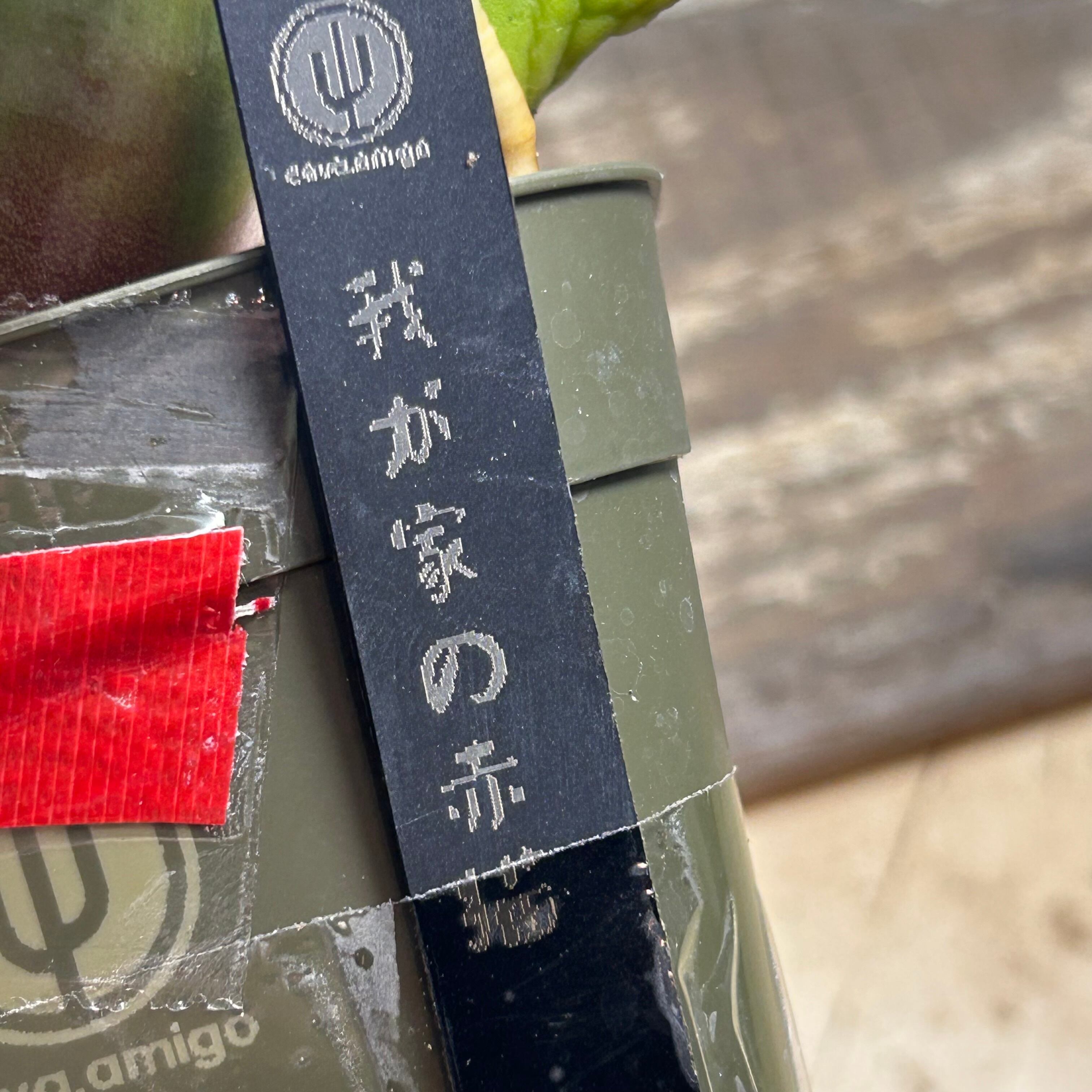 T)我が家の赤猫 アガベ(夏型) | RuPo 多肉植物専門店