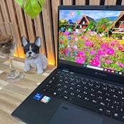 \ 公式ショップ限定価格❣️/ 《最新2023年モデル》東芝 dynabook G83/KW 第12世代 メモリ16GB SSD256GB ノートパソコン 安心サポート&3ヶ月保証付き