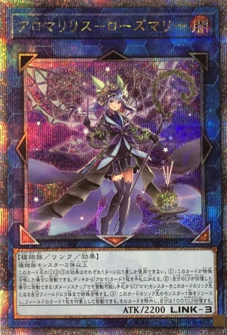 【美品】アロマリリス-ローズマリー(25th)