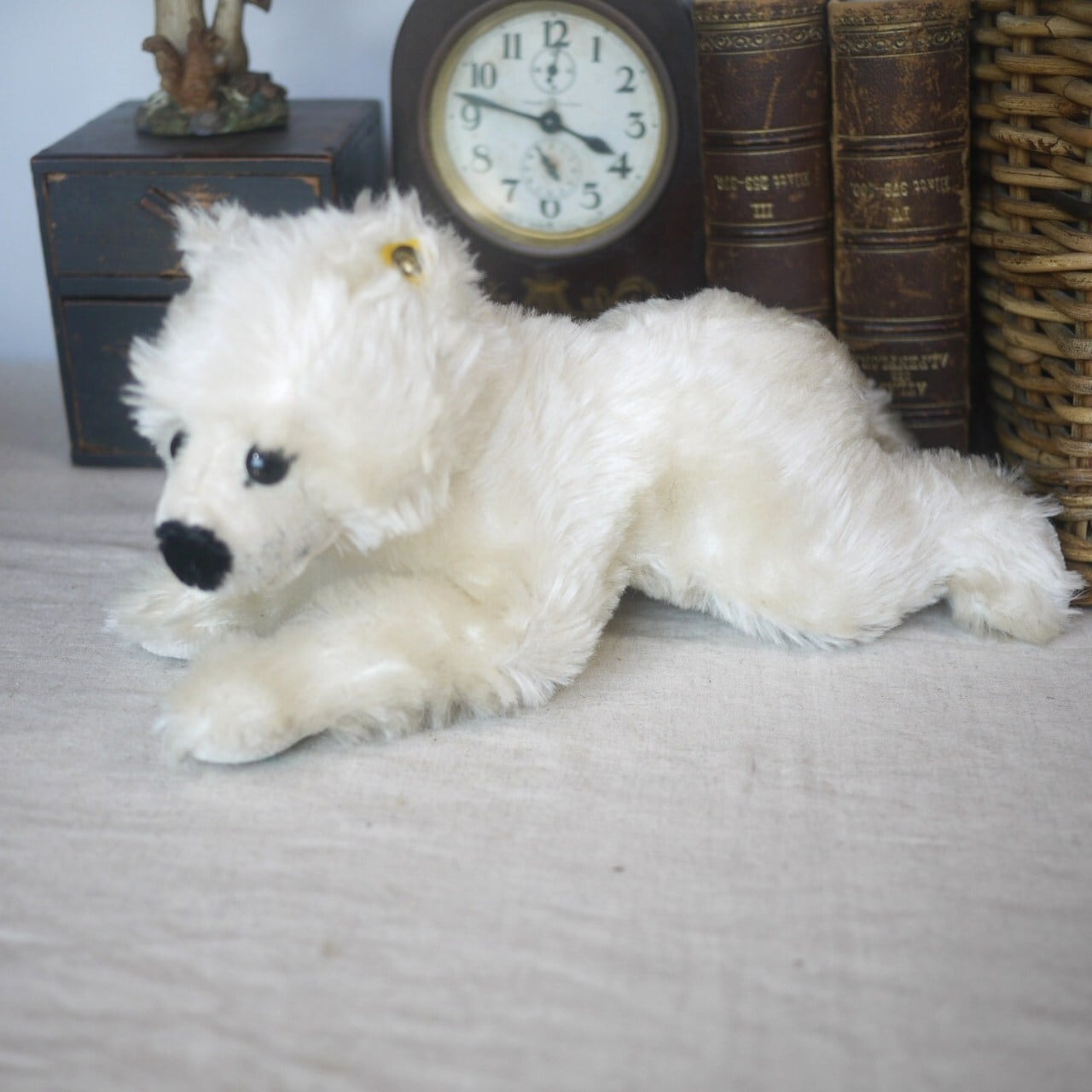 シュタイフ 白熊 北極熊 steiff ドイツ