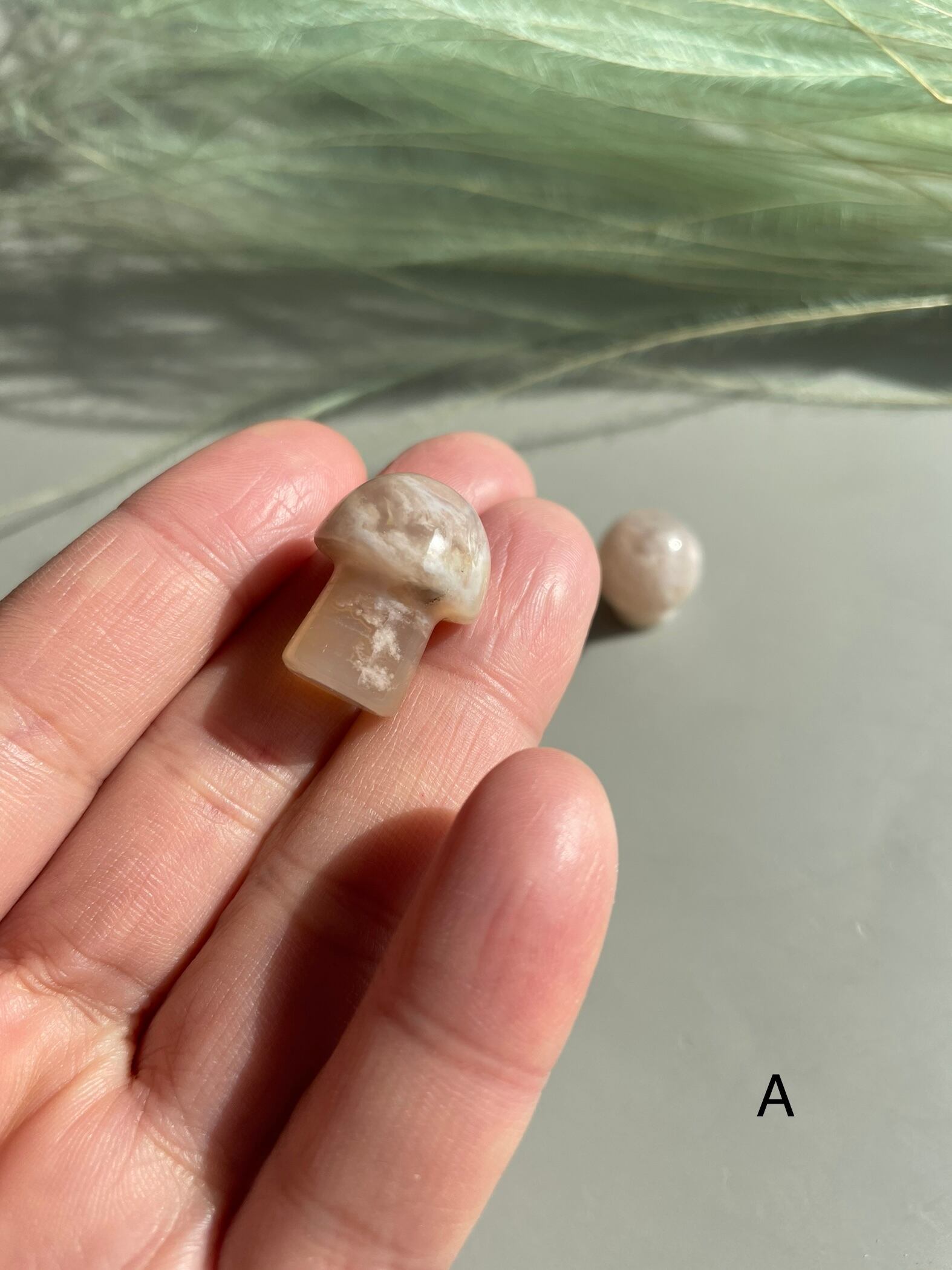 桜めのう　きのこ