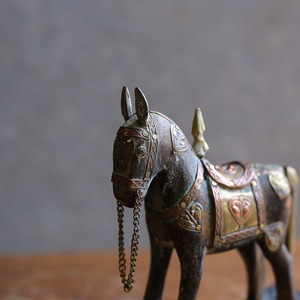 手放したくないほど美しい馬 15