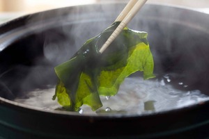 綾里の早採りワカメ1kg ＜期間限定＞2月中旬まで