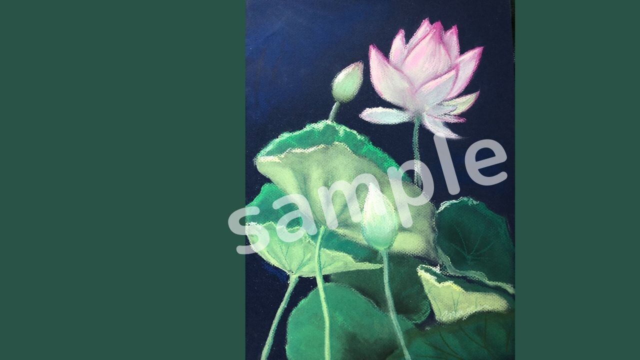 Zoom背景に使える手書きパステル 蓮の花 アネモネ
