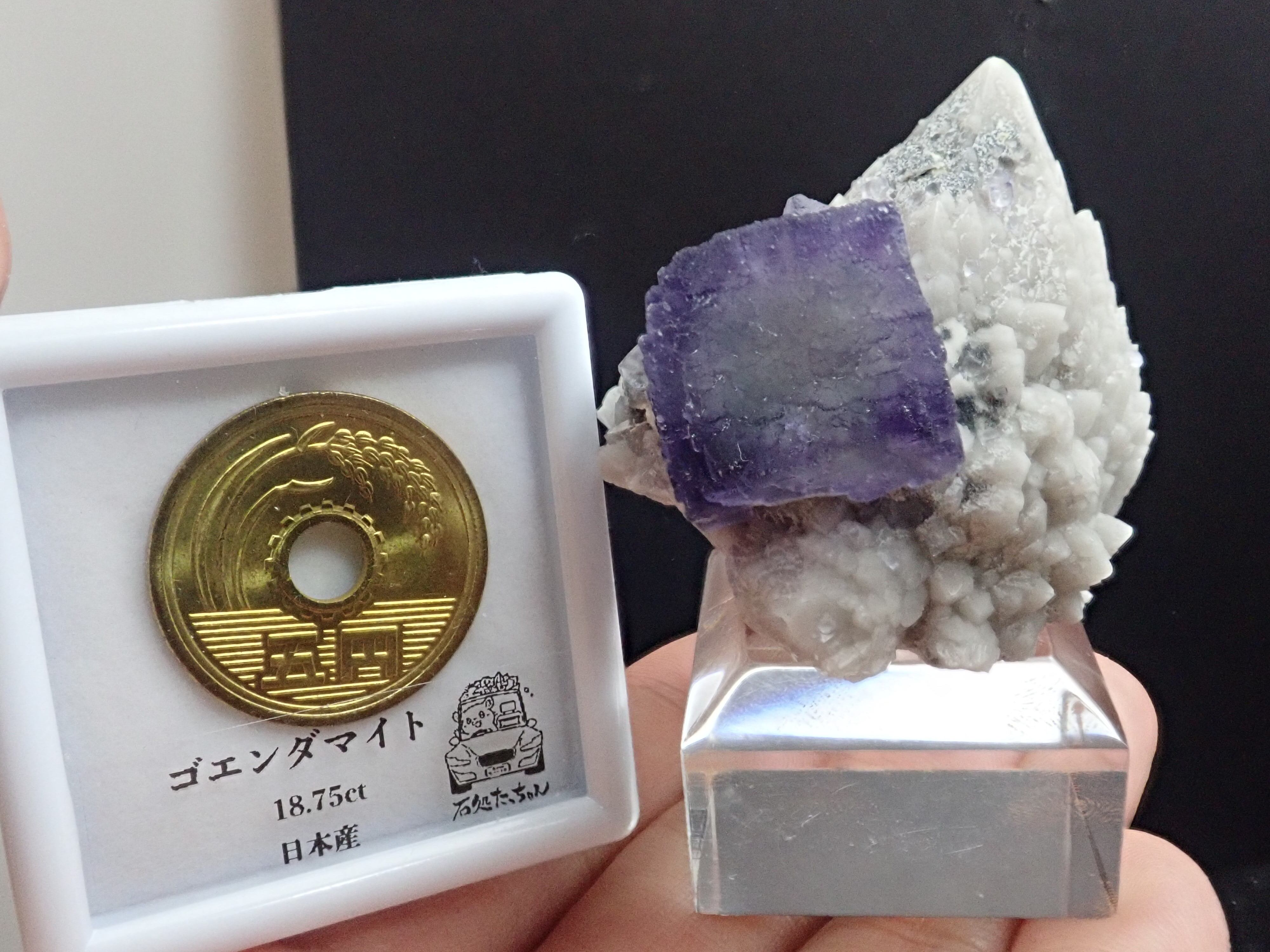 共生美】フローライト＆ミルキークォーツ 蛍石 水晶 原石 標本 | 石処