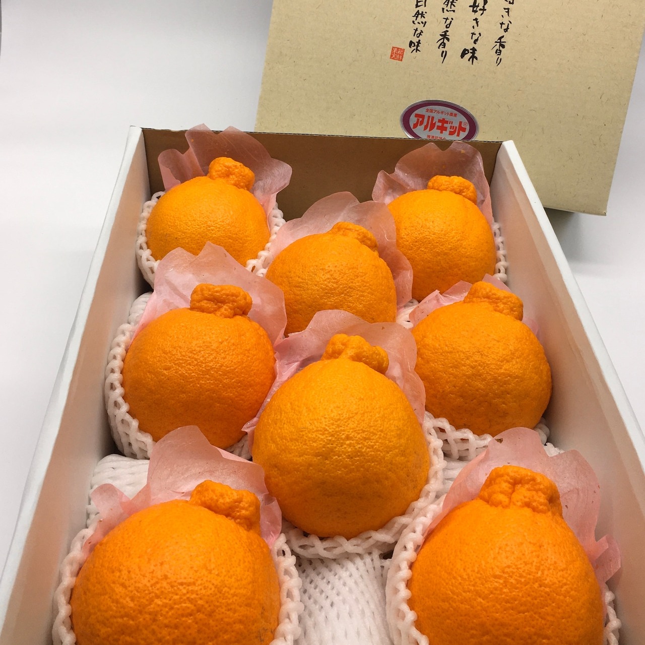 【贈答用】完熟アルギット不知火(露地)約3.0kg 【のし対応可】【2月中・下旬頃から順次発送予定】