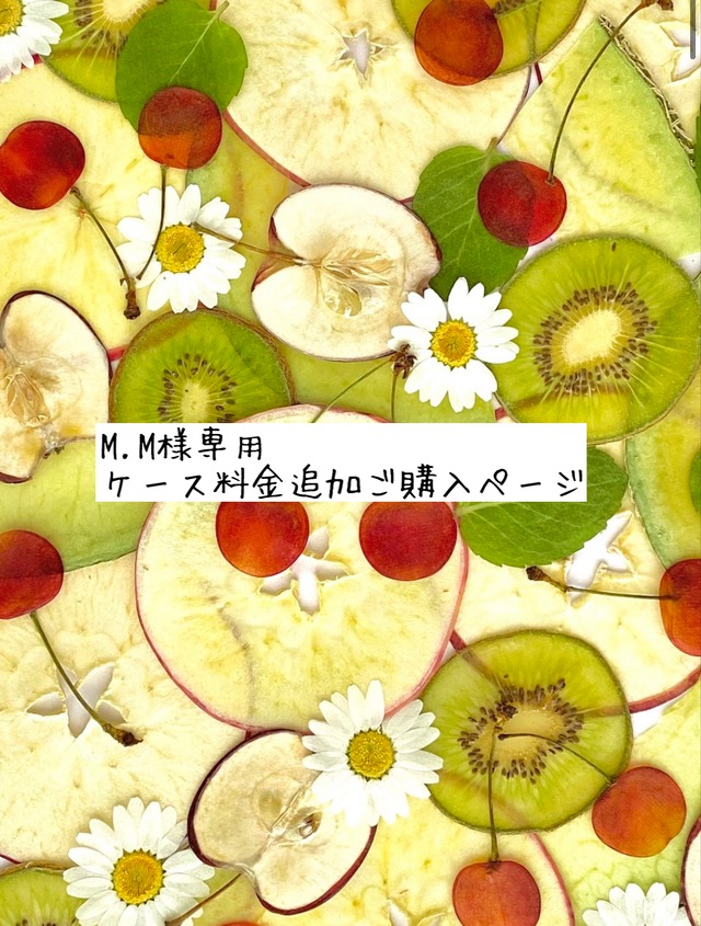 M.M様専用 ケース料金追加ご購入ページ