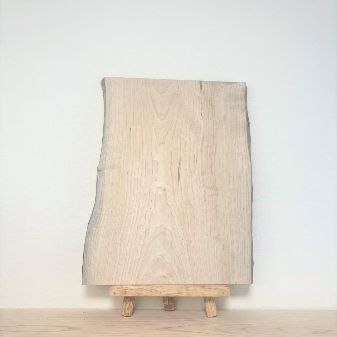 No.1088　イタヤカエデ