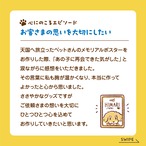 スタッフご紹介!