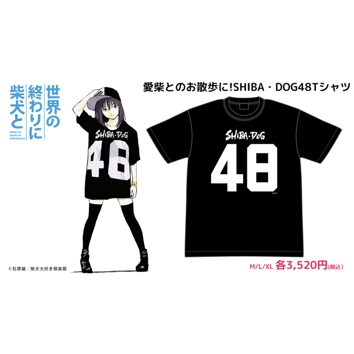 d788f6cdcf5a20c3329dccfc8d7850 