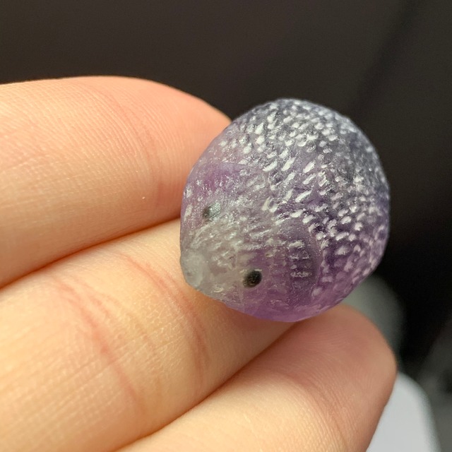 93パープルメインフローライトハリネズミさん