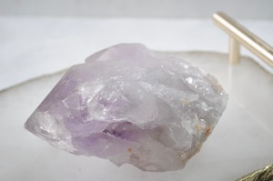 マルチに活躍26