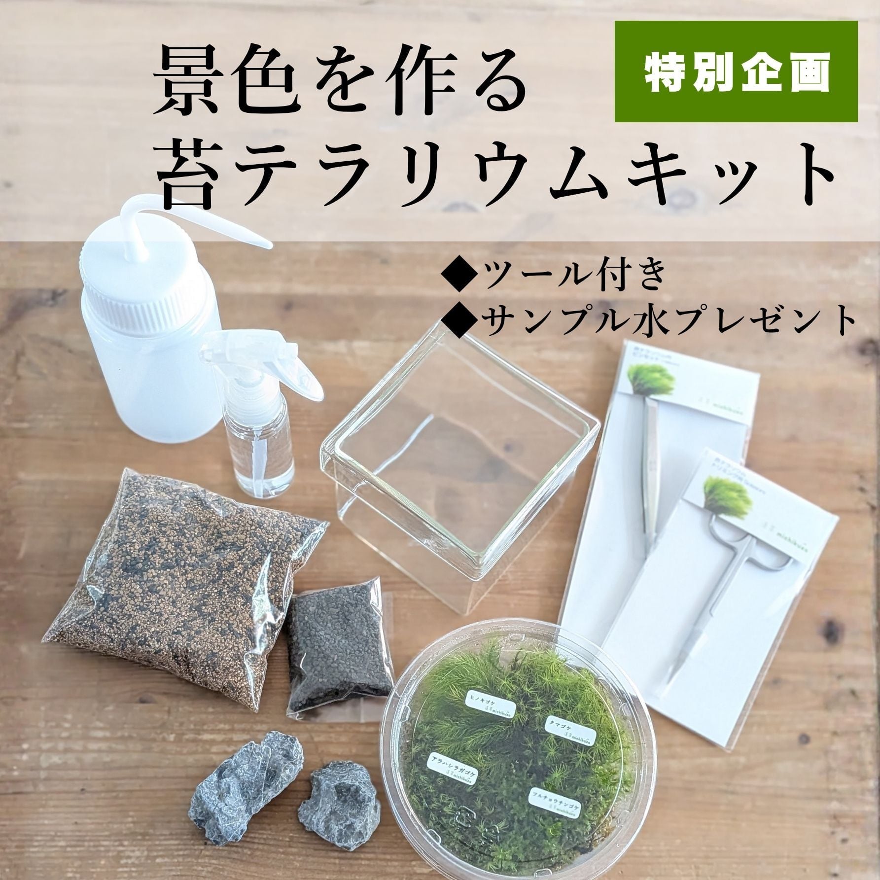 【趣味の園芸7月号 掲載記念】景色をつくる苔テラリウムキット(BOX)【必要なツールがすべてついてくる】◆苔テラリウムの水お試しパックプレゼント