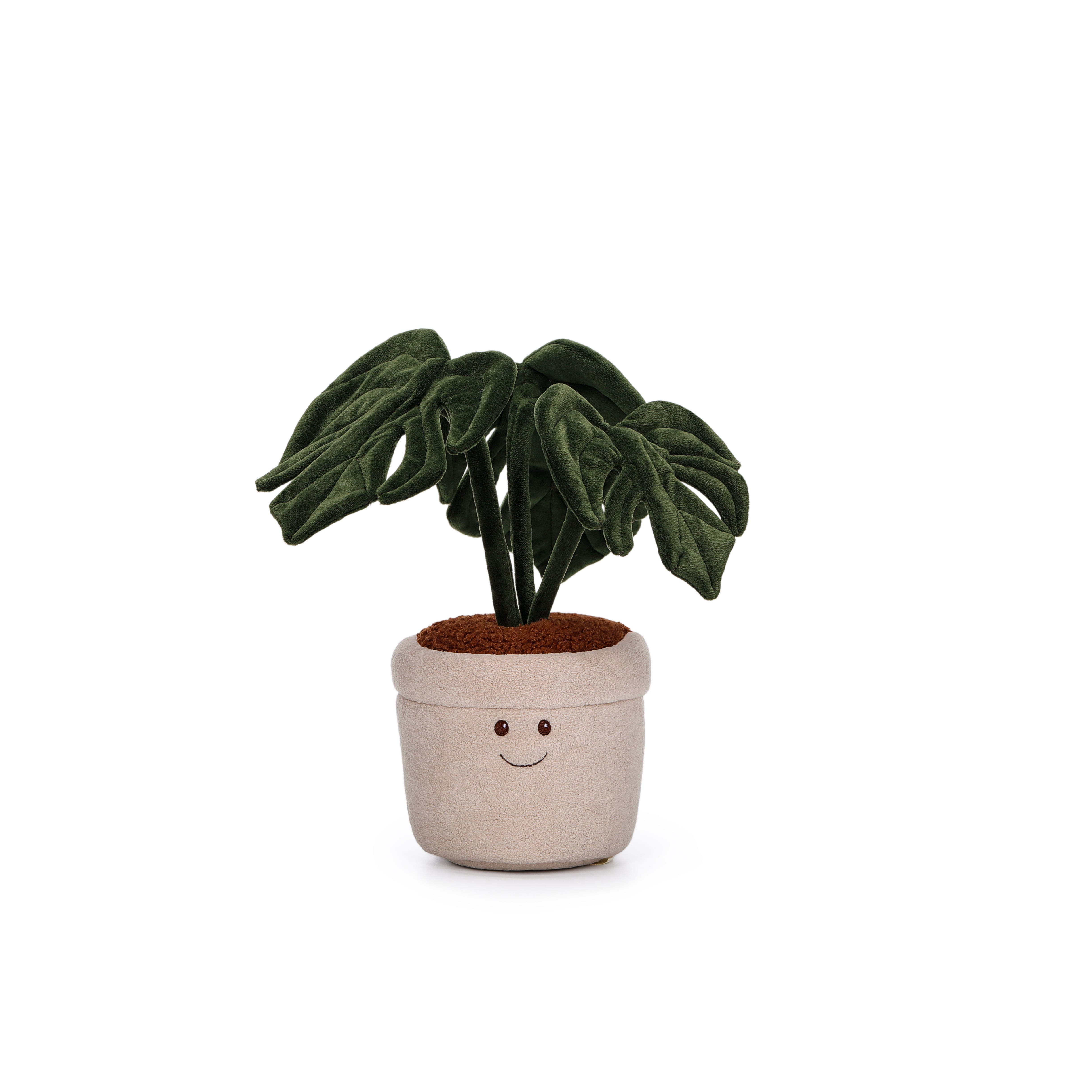 Fortune Monstera_MC300315