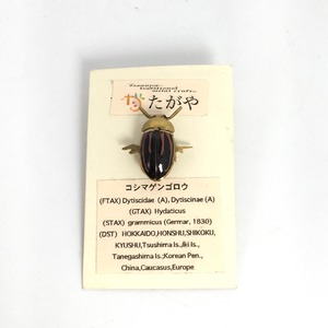 【たがや】 ピンバッジ「コシマゲンゴロウ」