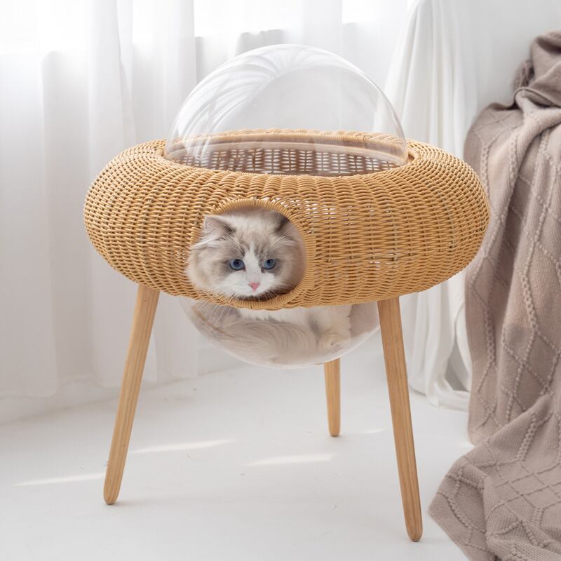 新品☆ 透明な猫のベッド カプセル ペットハウス 可愛い 快適猫 新品☆ 透明な猫のベッド カプセル ペットハウス 可愛い 快適猫