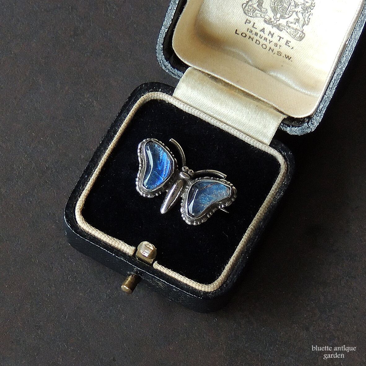 アンティークジュエリー シルバー モルフォ蝶 タイニーブローチ