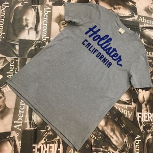 HOLLISTER　MENS　Ｔシャツ　Ｌサイズ