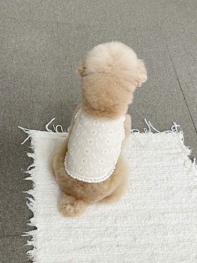 〈即納アイテム〉EYOU ノースリーブ / キャンディバーフォレスト（ブル-/ベージュ)