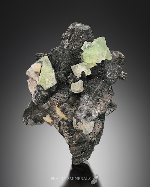 フローライト / スモーキークォーツ【Fluorite with Smoky Quartz】日本（岐阜県）産