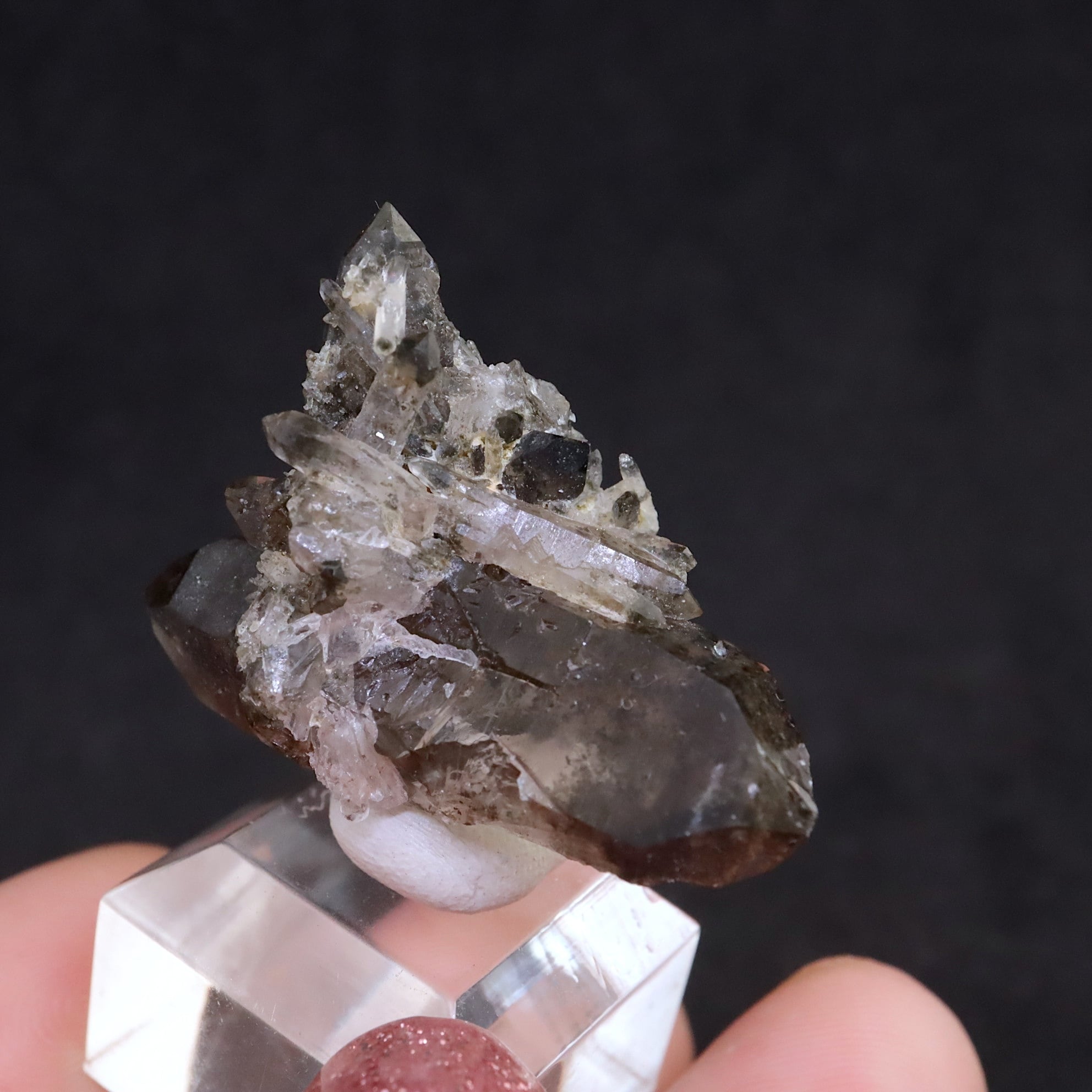 【mizkumaさん専用】スモーキークウォーツとスモーキーシトリン5点セット スモーキークォーツ【Smoky Quartz】スイス産 | PEANUTS MINERALS
