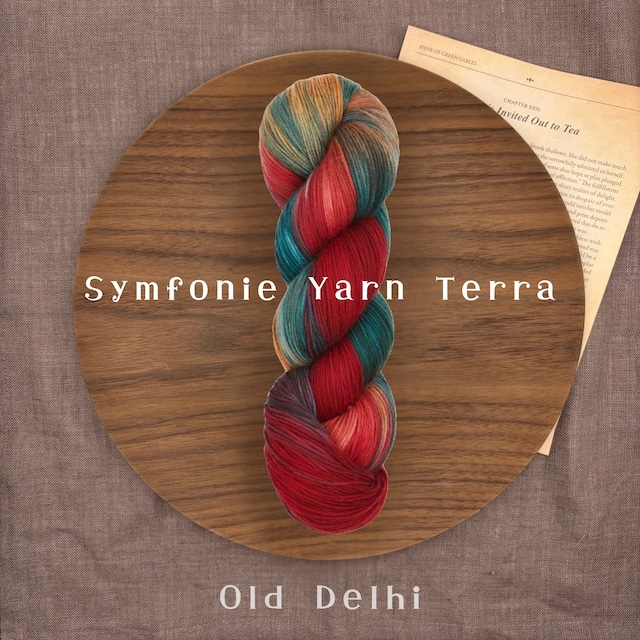Symfonie Yarn 「Terra」- Old Delhi- 手染めソックヤーン 中細 100g 400m 靴下編み 毛糸 ニットプロ