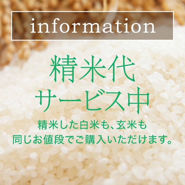 information　精米代無料　滋賀のおいしいお米を直販する農家「しまだファーム」