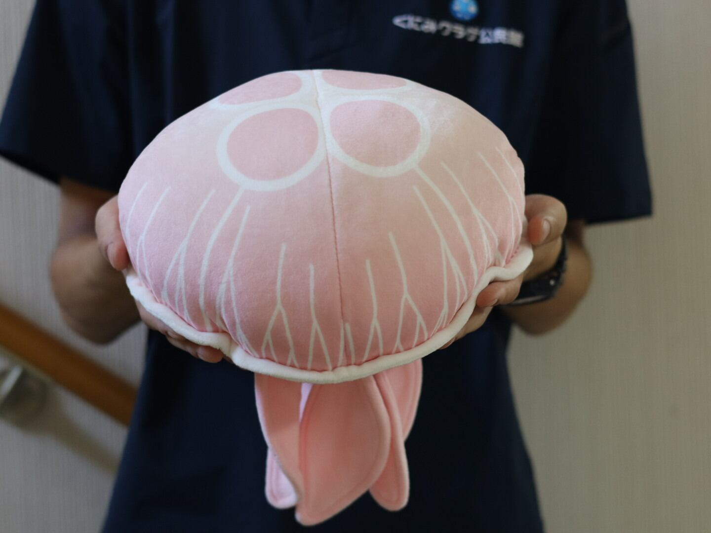 くらげのぬいぐるみ（中） | くにみクラゲ公民館
