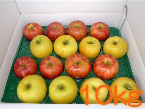 おまかせ詰合せ １０ｋｇ(約２８～４０個)