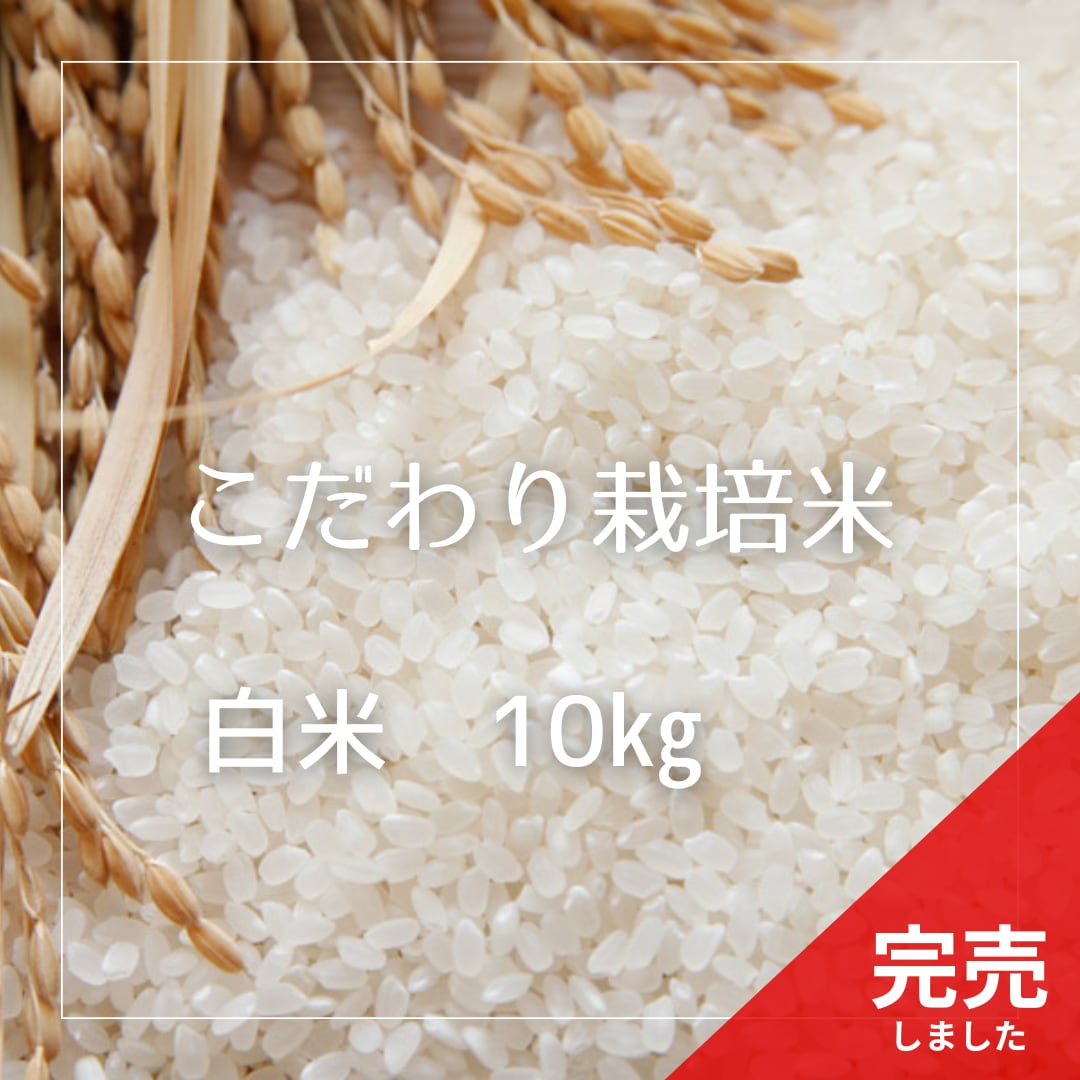 令和5年産 新米兵庫県姫路市林田産キヌヒカリ №5258-1321][令和7年産
