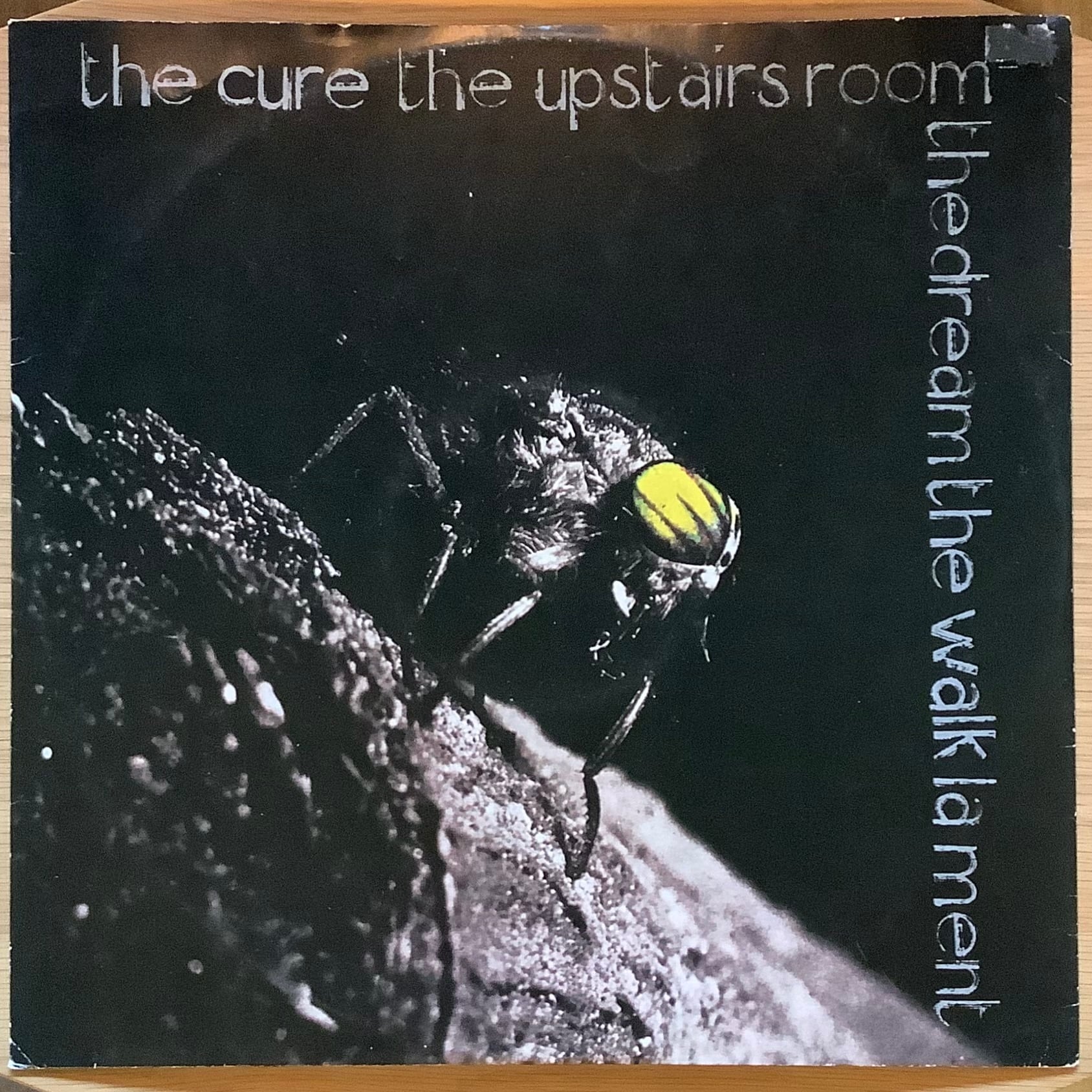 POST PUNK / NEW WAVE | Plastic Soul Records