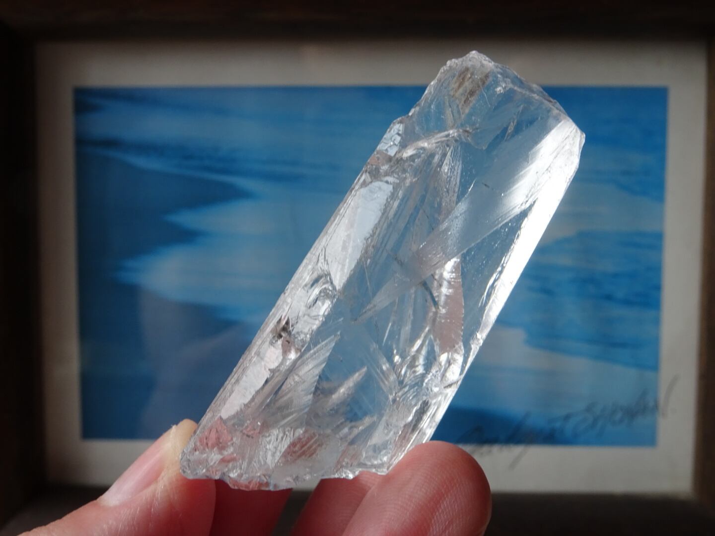 ピュアレイルーツ（レムリアンルーツクォーツ） | 虹石屋