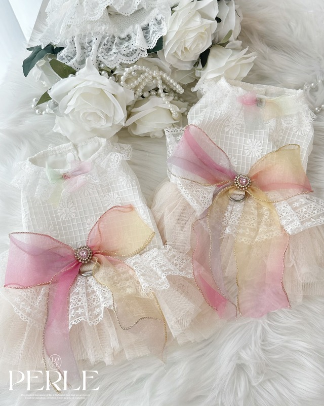 Chiffon lace pet dress