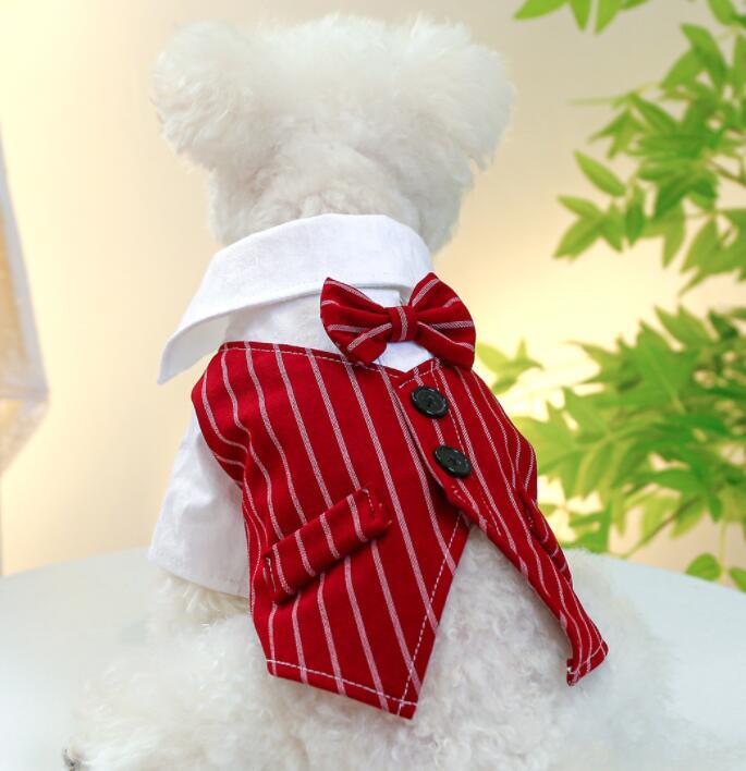 《予約》№1102607 タキシードトップス