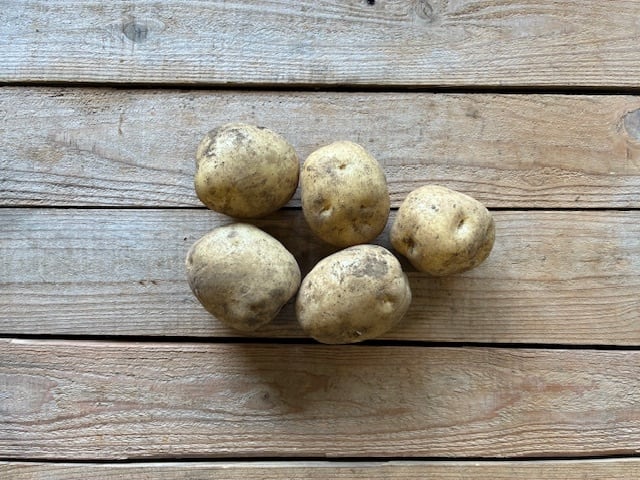 2/25(水)より隔週水曜お届け!野菜セット(6回コース) | オトワファーム