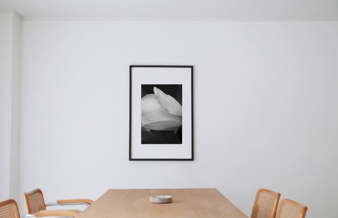 Alexander Goodman(アレキサンダー・グッドマン) #7 black wooden frame 63cm×93cm付き ( LL )