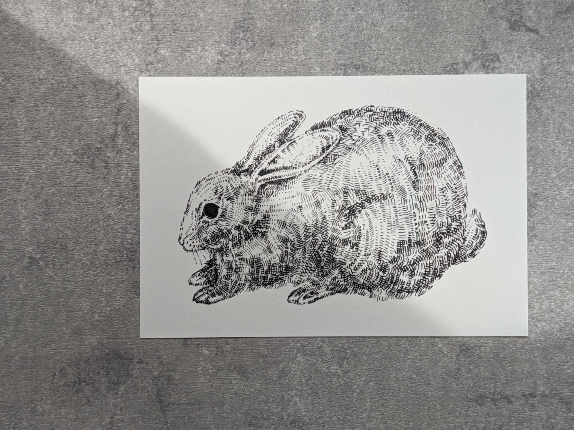 【TenderHead】 postcard-ウサギ-