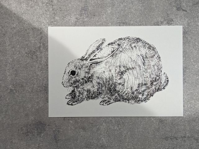 【TenderHead】 postcard-ウサギ-