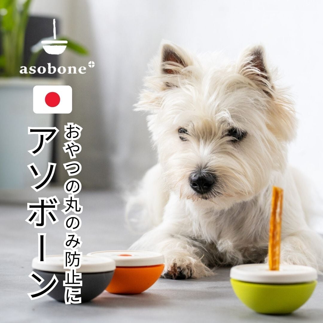 SOFT：ソフト】アソボーン asobone 7色 | 犬の自然派食料品店 エノネ