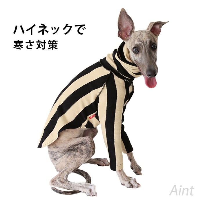 イタグレ Tシャツ ハイネック ウィペット ミニピン イタグレ服