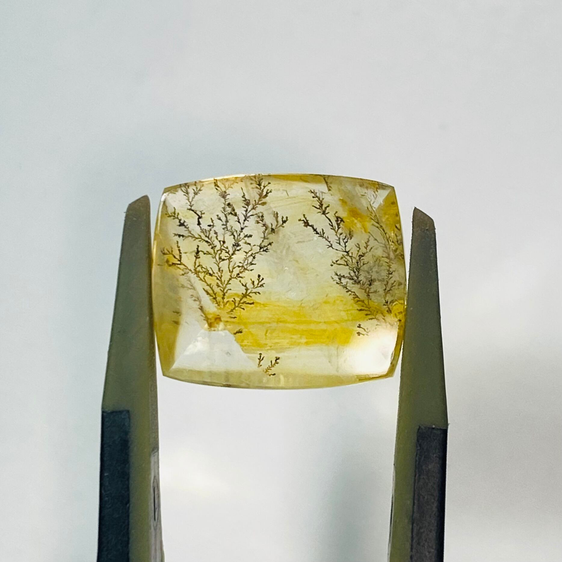 秋冬支度 デンドリティッククオーツ